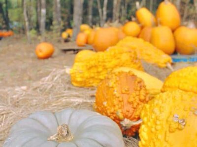 Autauga Adventures Hosting Special Fall Adventure Oct. 18-20; Children under Three are FREE