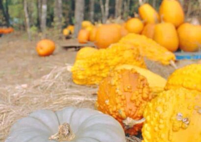 Autauga Adventures Hosting Special Fall Adventure Oct. 18-20; Children under Three are FREE