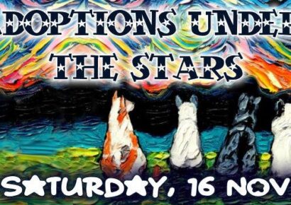 Adoptions Under the Stars: Nov. 16 HSEC Shelter will Stay Open Late until 8 p.m.; Special Adoption Surprises