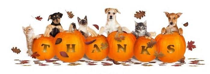 HSEC Thankful for Support Throughout the Year; Office Will Be Closed Thursday, Friday