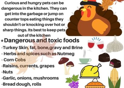 Thankgiving is One of the Busiest Days of the Year for Veterinarians; Here are some Tips for Pet Safety