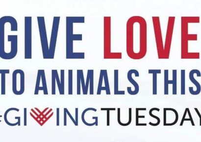 Humane Society of Elmore County Survives on Donations; Consider Them for Giving Tuesday Dec. 3