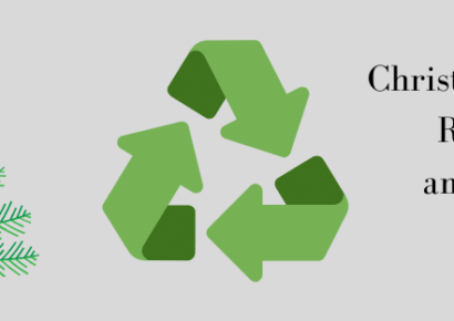 Live Christmas Trees: Recycle and Reuse