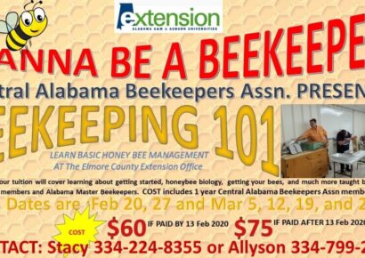 Are You Interested in Beekeeping? Learn Basic Honey Bee Management at Elmore County Extension Office
