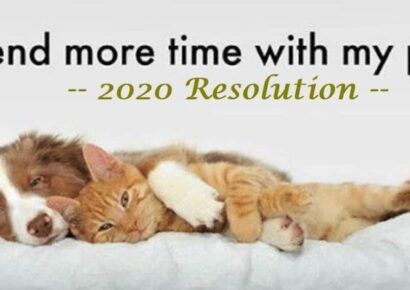 HSEC NEWS: Ten New Year’s Resolutions for Pet Owners