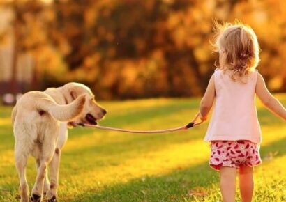 HSEC News: January is National Train Your Dog Month, Walk  Your Pet Month