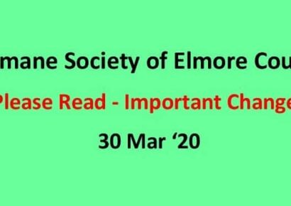 Humane Society of Elmore County Announces Operational Changes Due to COVID-19; Donations Still Needed