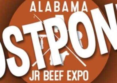 Another Cancelation: Alabama Junior Beef Expo, Southeastern Live Stock Exposition Postponed To Limit Spread of Coronavirus (COVID-19)