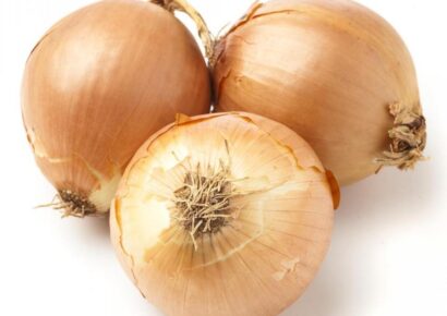 Vidalia Onion Fundraiser Brings Funds to Millbrook Community since 2011