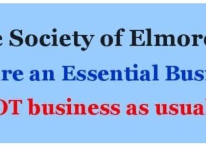 Humane Society of Elmore County Makes Significant Operation Changes to Keep Staff Safe