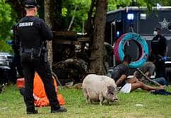 Site of Thursday House Raid in Autauga County Longtime  Source of Problems for River Region