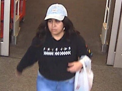 Suspects Sought after Couple Breaks Out Window of Vehicle at Medical Facility, Steals Purse, Goes Shopping in Prattville