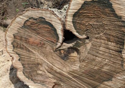 When Life Hands You a Fallen Tree…Make a Beautiful Heart-Shaped Table; Hand Family of Autauga County is Doing Just That
