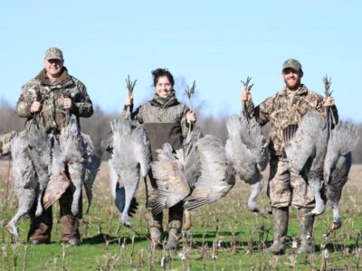 Sandhill Crane Season Returns for 2020-2021; Registration opens September 8