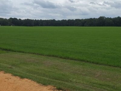 Where Should the New Mega Prison be Located in Elmore County? Opinions Vary …