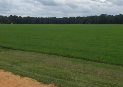 Where Should the New Mega Prison be Located in Elmore County? Opinions Vary …