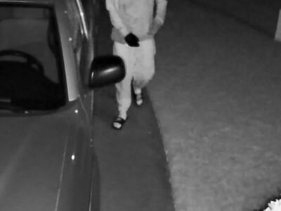 Prattville PD, CrimeStoppers Seek Info on Multiple Vehicle Burglaries Throughout City