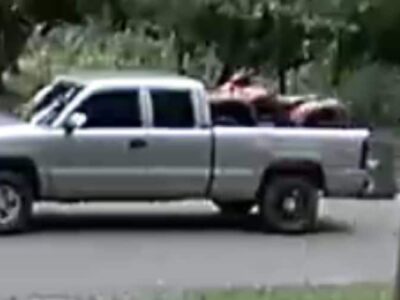 Two Suspects Who Stole Child’s Birthday Gift in Tallassee Need to be Identified; Reward Offered