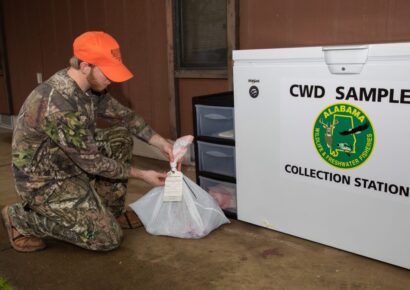 CWD Sampling Effort Continues as Archery Deer Season Opens; Sampling stations available throughout the state