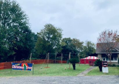 Live Christmas Trees on Sale Nov. 27 at St. Michael and All Angels’ Episcopal Church in Millbrook