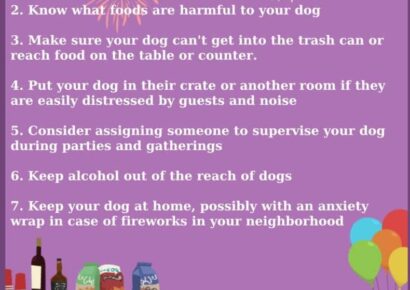 New Year’s Eve and Fireworks: Avoid Lost Pets with Pre-Planning