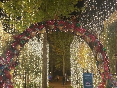 Prattville Council Passes $64 Million Budget, Moves Economic Development from Chamber to City Control