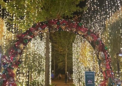 Prattville Council Passes $64 Million Budget, Moves Economic Development from Chamber to City Control