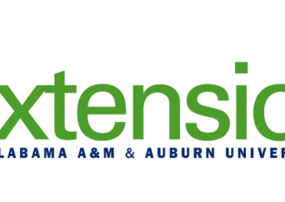 Getting Healthy In The New Year: Making Informed Food Choices