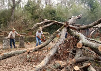 OAHS Thankful for Volunteers at ‘Massive’ Cleanup Project at Old Asbury Cemetery Today