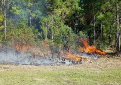 Prescribed Fires Planned at Frank Jackson State Park For February, March; Hiking Trails Closed