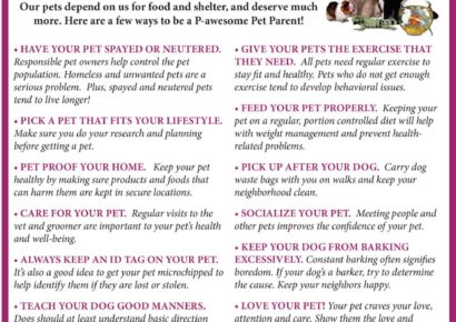 February is Responsible Pet Ownership Month; See Guidelines from AVMA