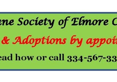 COVID Presented Learning Lessons Across the Country for Animal Shelters, including Elmore County