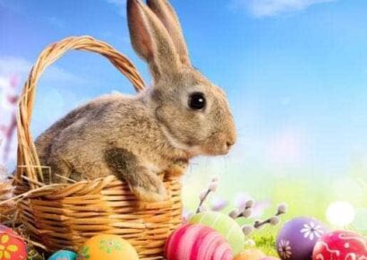 Prattville Spinners’ Bunny Hop Shop: Club’s Fundraising Event is This Weekend