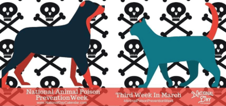National Poison Prevention Week and Protecting Your Pets
