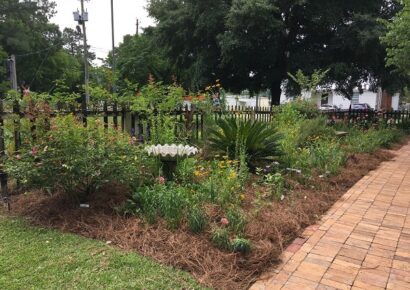 Autauga County Master Gardeners Plant Sale Set for this Saturday; Weather Plan in Place