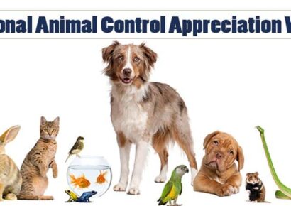 HSEC NEWS: Animal Control Officers are So Much More than Just ‘Dog Catchers’