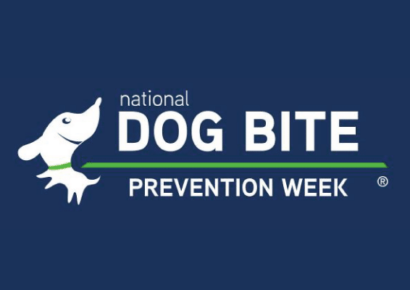 This week is National Dog Bite Prevention Week. Here are Some Tips on Preventing Bites.