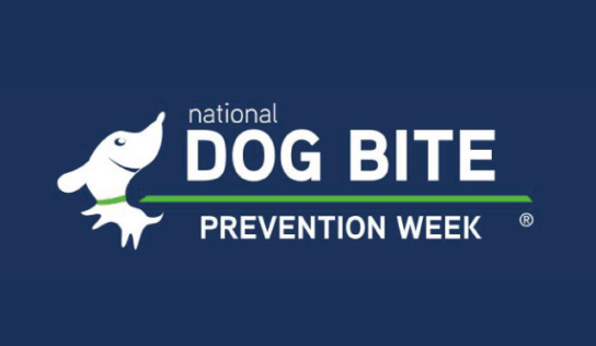 This week is National Dog Bite Prevention Week. Here are Some Tips on Preventing Bites.