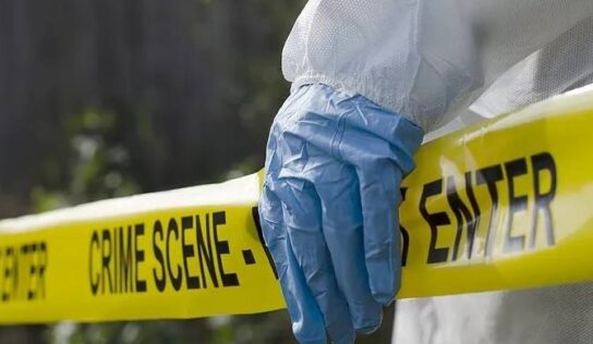 Human Skeletal Remains found in Autauga County; Investigators Working on Identification