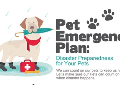 Do You Have a Pet Emergency Plan? HSEC Gives Tips on How To Be Prepared