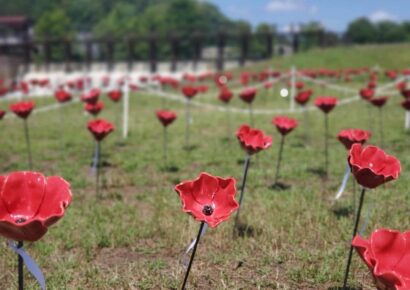 2,021 Poppies to Honor Fallen This Memorial Day in Historic Downtown Prattville