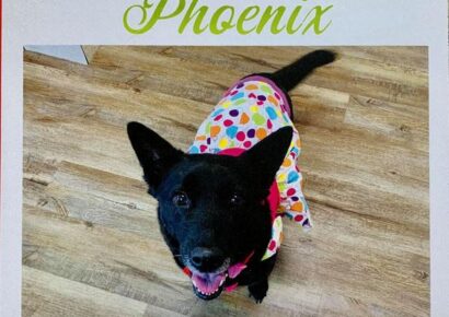 ‘Yappy Barkday Pawty’ Fundraiser Happening This Week in Wetumpka for HSEC