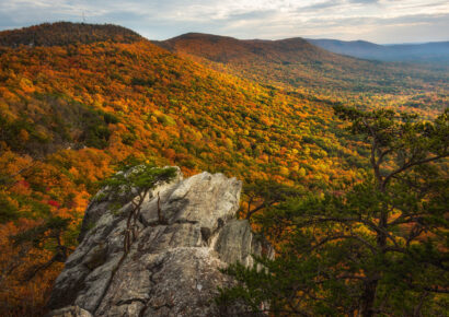 Grab your Camera! Outdoor Alabama Photo Contest Opens August 2