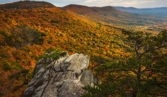 Grab your Camera! Outdoor Alabama Photo Contest Opens August 2