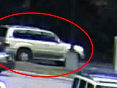 Prattville Police Seek Identities of Vehicle Break-in Suspects; CrimeStoppers Offers Reward
