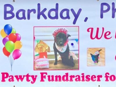 Almost $10,000 Raised through ‘Yappy Barkday Pawty’ for HSEC