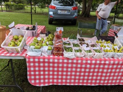 Family Friendly Fun At Prattville Farmers Market; Just One More Week Left this Season