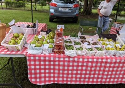 Family Friendly Fun At Prattville Farmers Market; Just One More Week Left this Season