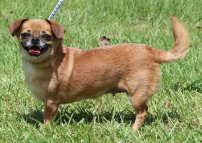 Autauga County Pet of the Week
