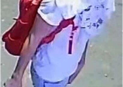 Armed Burglars Sought in Autauga County; Reward Offered for Information